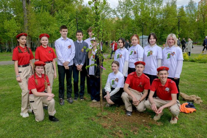 Традиционная акция «Сад памяти» прошла на 4 локациях в Подольске Традиционная акция «Сад памяти» прошла на 4 локациях в Подольске