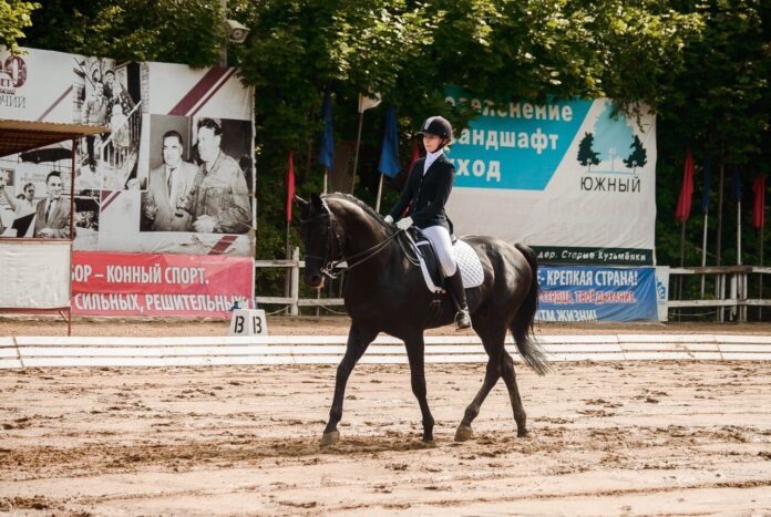 Соревнования по выездке «Бодрость духа, грация и пластика» прошли в КСК «Фаворит»