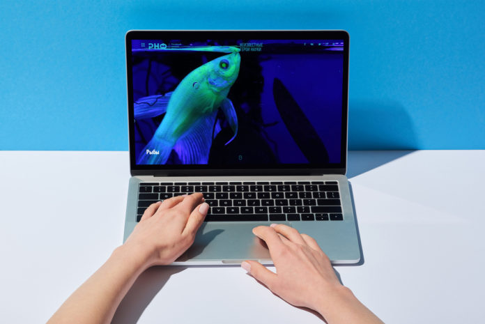 Российский научный фонд решил рассказать о неизвестных героях науки – лабораторных животных, спасших миллионы... Российский научный фонд решил рассказать о неизвестных героях науки – лабораторных животных, спасших миллионы...