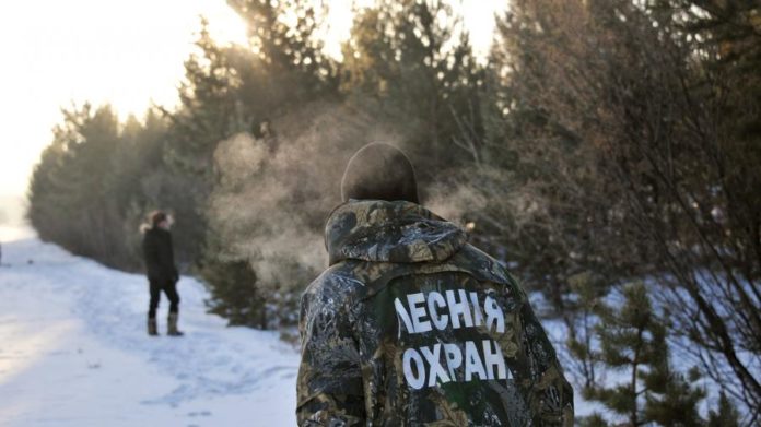 Подольский филиал ГКУ МО «Мособллес» информирует: не рубите ели! Подольский филиал ГКУ МО «Мособллес» информирует: не рубите ели!