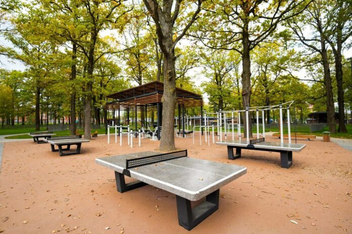 Благоустройство ПКиО «Дубрава» в Подольске завершат до конца сентября 