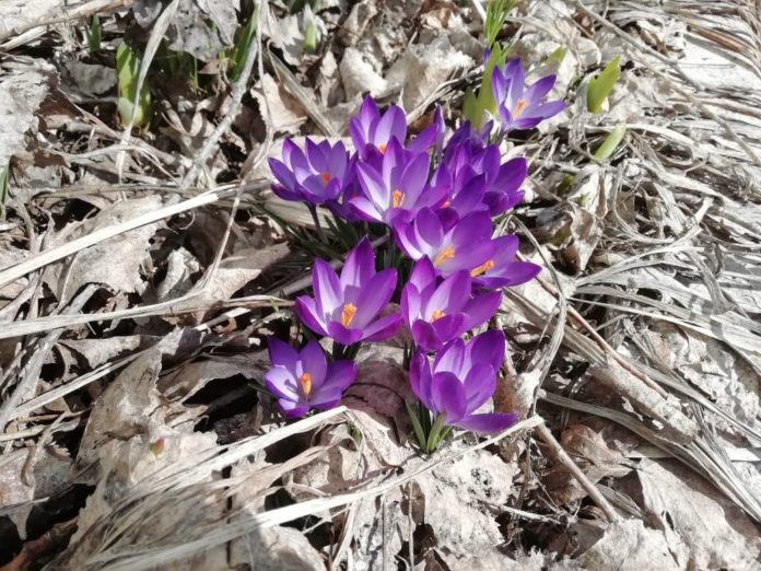 Работники Водоканала вышли на корпоративный субботник Работники Водоканала вышли на корпоративный субботник