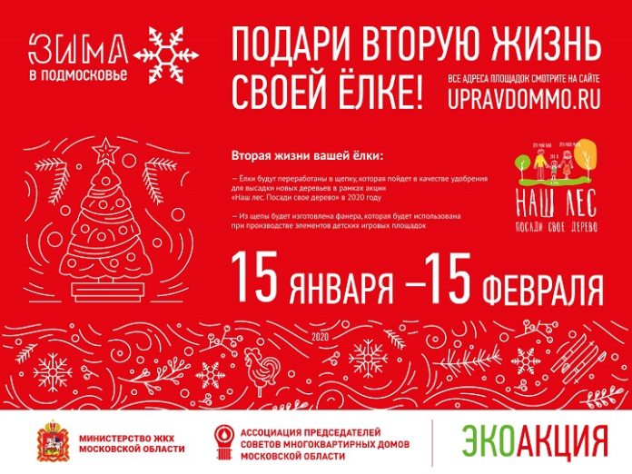Подари вторую жизнь своей ёлке!