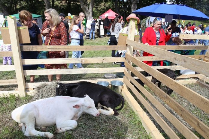 Крестьянский дворик – визитная карточка Славянского подворья в Подольске Крестьянский дворик – визитная карточка Славянского подворья в Подольске