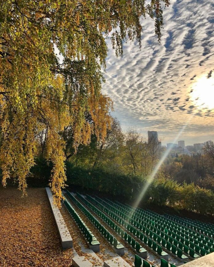Встреча общественного совета Парка культуры и отдыха имени Виктора Талалихина Встреча общественного совета Парка культуры и отдыха имени Виктора Талалихина