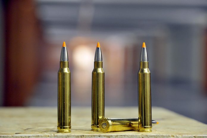 Сотрудники полиции изъяли оружие и патроны у местного жителя Сотрудники полиции изъяли оружие и патроны у местного жителя