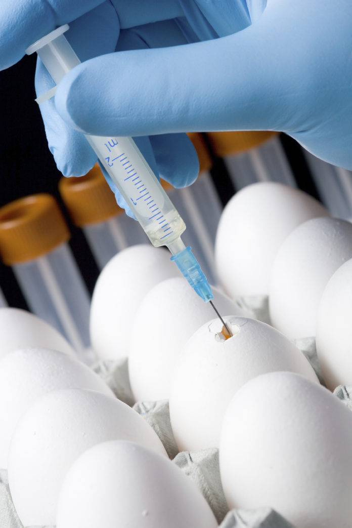 В Городском округе Подольск вывели новую породу кур, несущих яйца для производства вакцины от...