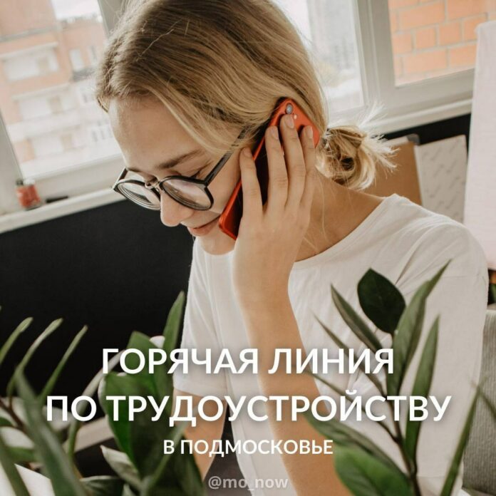 «Горячая линия по трудоустройству» работает в Подмосковье «Горячая линия по трудоустройству» работает в Подмосковье