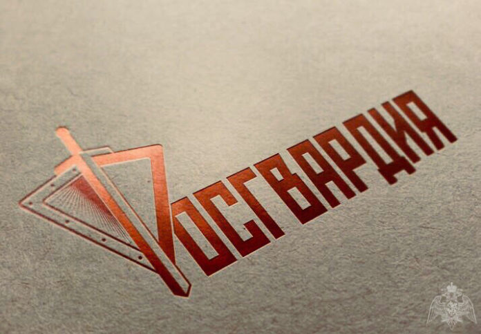 В Подольске представители Росгвардии в течение двух часов предотвратили две кражи из супермаркета