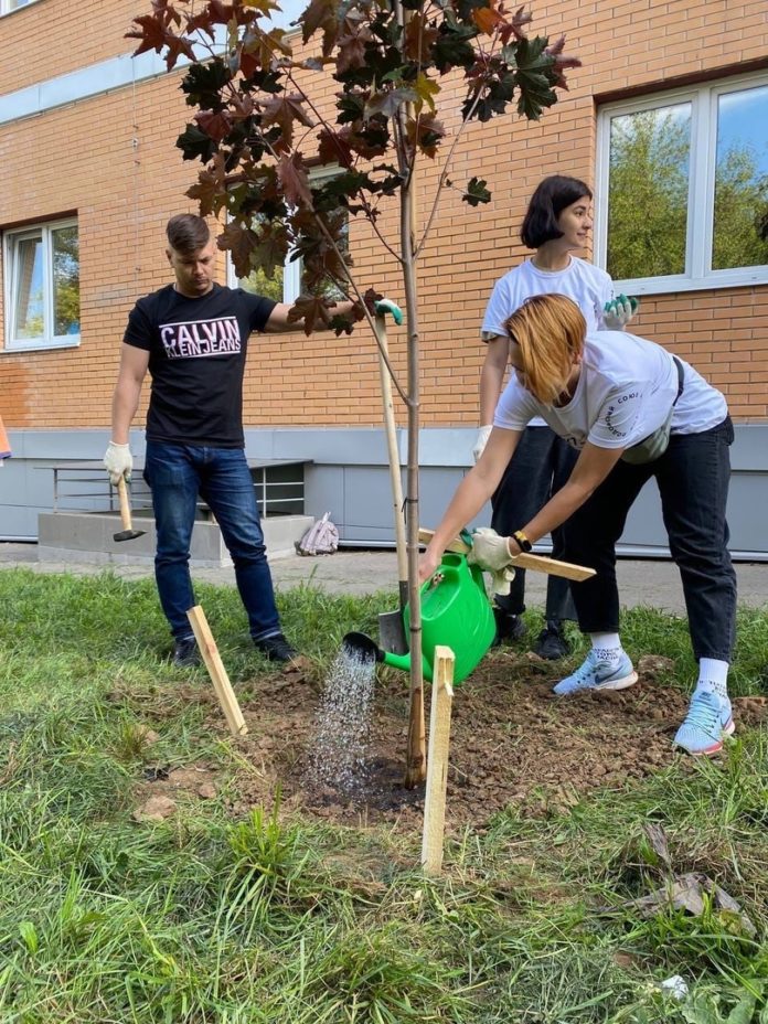 Активисты высадили новые деревья в микрорайоне Парковый Активисты высадили новые деревья в микрорайоне Парковый