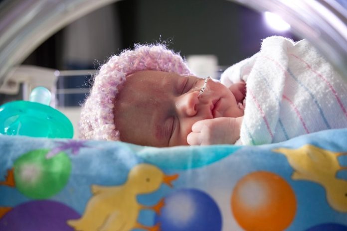 День белых лепестков День белых лепестков