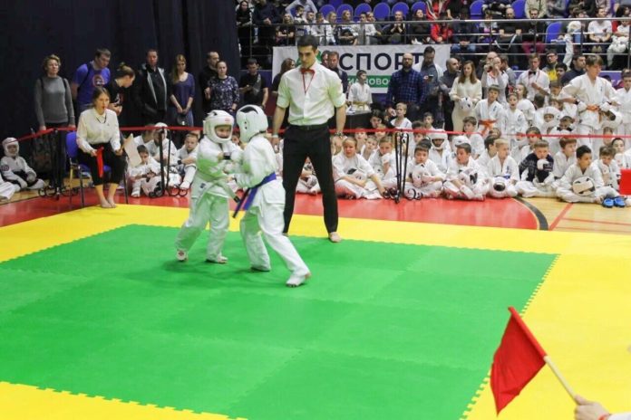 X Кубок «Ямакаси» по Кёкусин-кан каратэ-до состоялся в УСЦ «Юность» 9 февраля