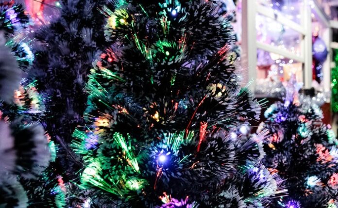 О самых интересных событиях зимой в Подмосковье