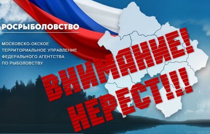 Введен запрет на рыболовство в период весеннего нереста рыб на рыбохозяйственных водоемах Московской области