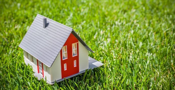 И снова «дачная амнистия» И снова «дачная амнистия»