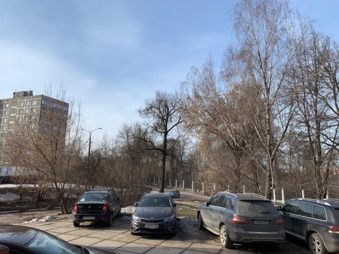 До плюс пяти прогреется воздух в Подольске 26 марта До плюс пяти прогреется воздух в Подольске 26 марта