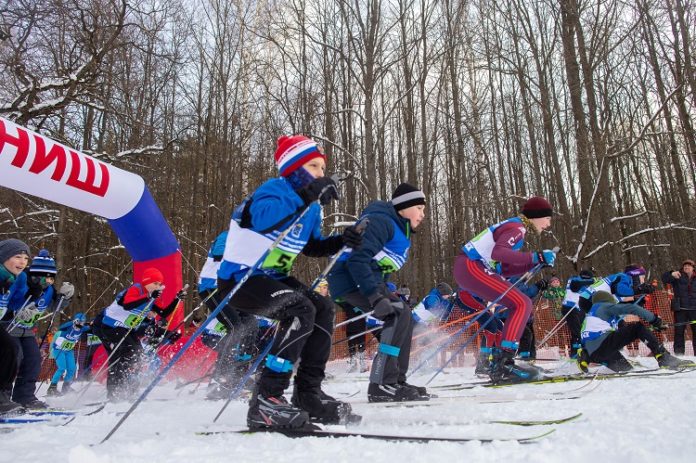 В лесопарке «Дубки» прошли соревнования «Подольская лыжня – 2021»