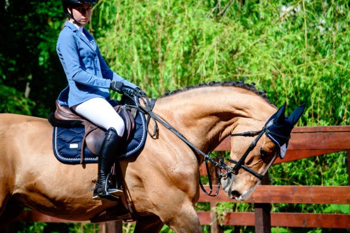 «Праздник детства» и конкур в «Фаворите»