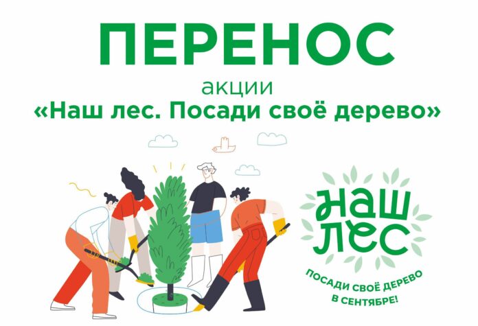 Акция «Наш лес. Посади своё дерево» в Подольске переносится из-за погоды Акция «Наш лес. Посади своё дерево» в Подольске переносится из-за погоды