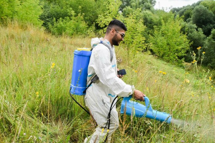 От борщевика Сосновского в Подольске обработали более 300 очагов  От борщевика Сосновского в Подольске обработали более 300 очагов