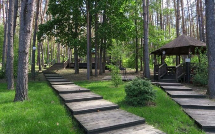 Стартовало голосование за адресный перечень проекта «Парки в лесу» на портале «Добродел» Стартовало голосование за адресный перечень проекта «Парки в лесу» на портале «Добродел»