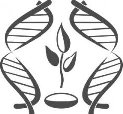 Ученые ФИЦ ВИЖ имени Л.К.Эрнста приняли участие в IV Международной научной конференции “Генетика и... Ученые ФИЦ ВИЖ имени Л.К.Эрнста приняли участие в IV Международной научной конференции “Генетика и...