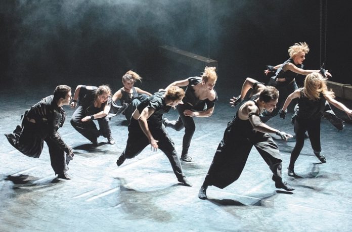 «Плаха», «Золушка» и «Чиполлино» «Плаха», «Золушка» и «Чиполлино»