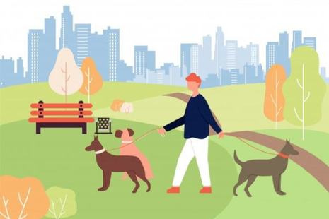 Напоминание о правилах выгула домашних животных