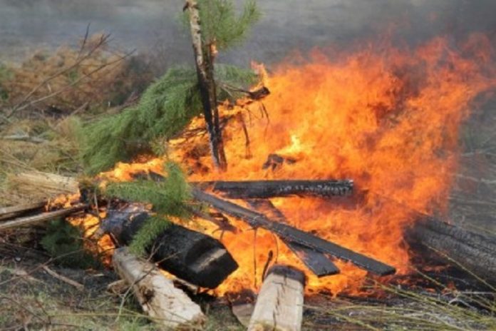 Противопожарный режим Противопожарный режим
