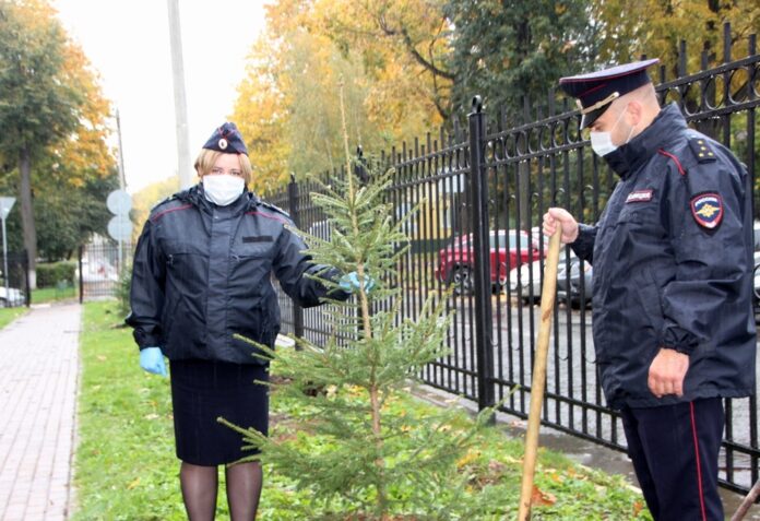 Тематическую акцию «Наш лес. Посади свое дерево» провели полицейские и общественники Подольска