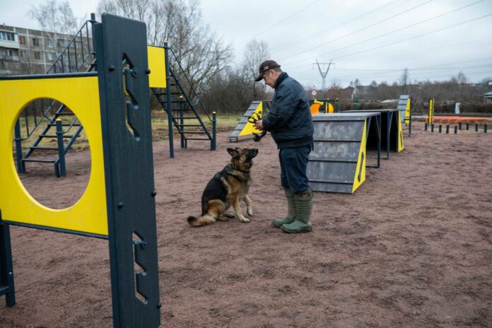 В микрорайоне Львовском установили оборудование на новой площадке для собак В микрорайоне Львовском установили оборудование на новой площадке для собак