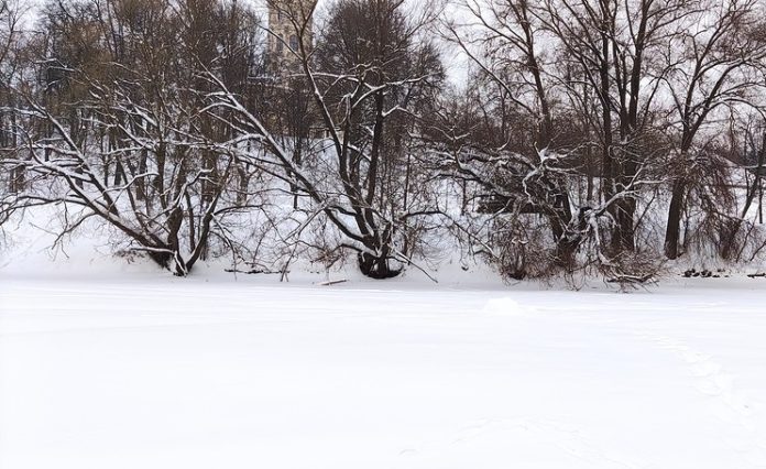 Толщина льда на реке Пахре 19 января