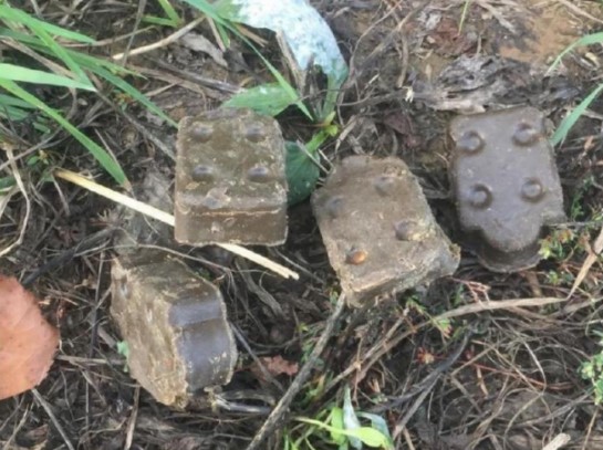 На территориях лесного фонда проводится раскладка вакцины «Рабистав» для животных