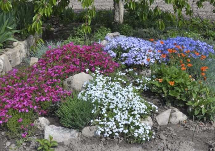 На звание «Лучший сад во дворе Подмосковья» претендуют подольские проекты На звание «Лучший сад во дворе Подмосковья» претендуют подольские проекты