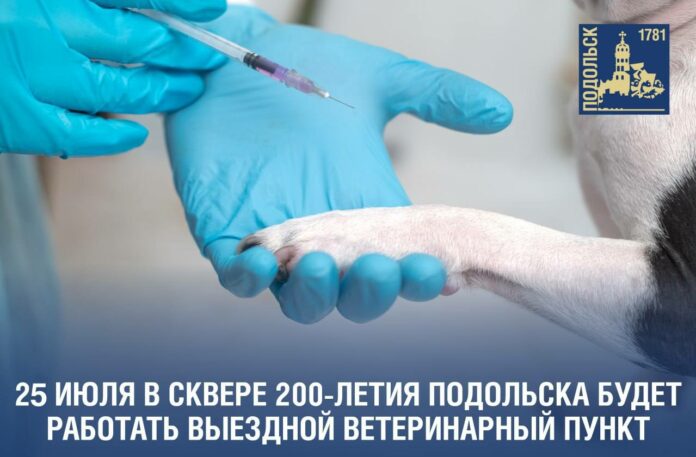 Внимание: бешенство!