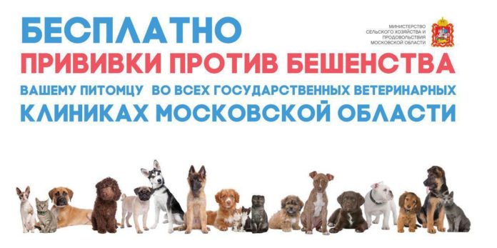 О помощи безнадзорным животным О помощи безнадзорным животным