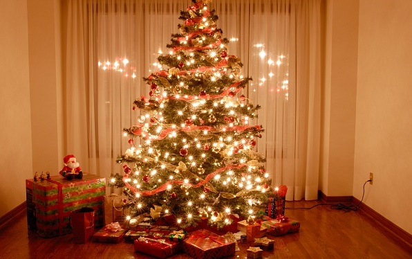 Правила установки новогодних елей Правила установки новогодних елей