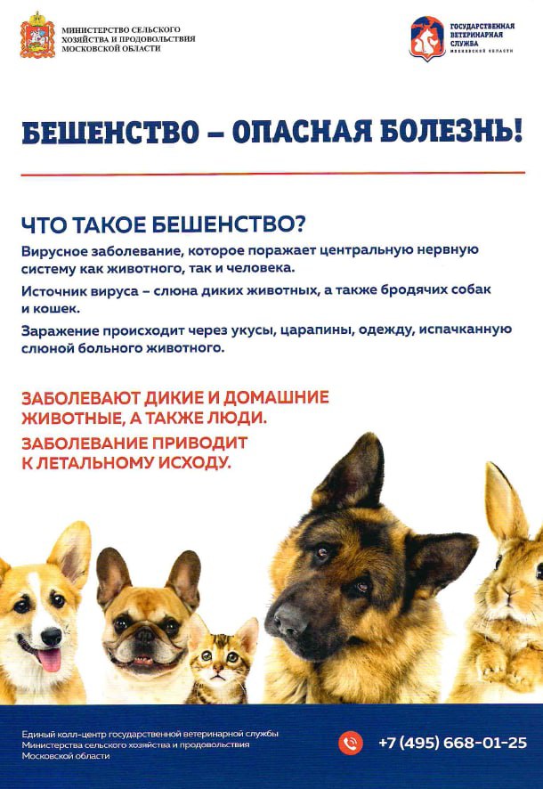 Памятка по профилактике бешенства Памятка по профилактике бешенства