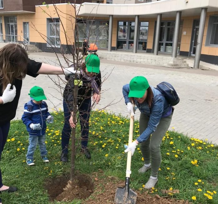 В микрорайоне Кутузово акция «Лес Победы» прошла на Бородинском бульваре В микрорайоне Кутузово акция «Лес Победы» прошла на Бородинском бульваре