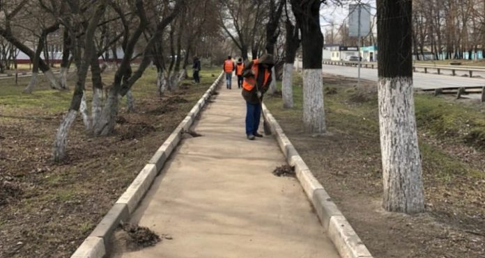 Традиционное весеннее благоустройство не отменили в Московской области из-за коронавируса