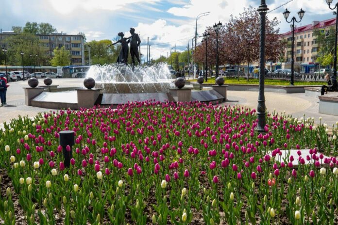 Подольск расцветает Подольск расцветает