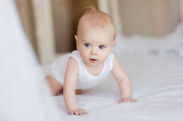 Более 250 семей Большого Подольска получили единовременное пособие при рождении ребенка в 2020 году Более 250 семей Большого Подольска получили единовременное пособие при рождении ребенка в 2020 году