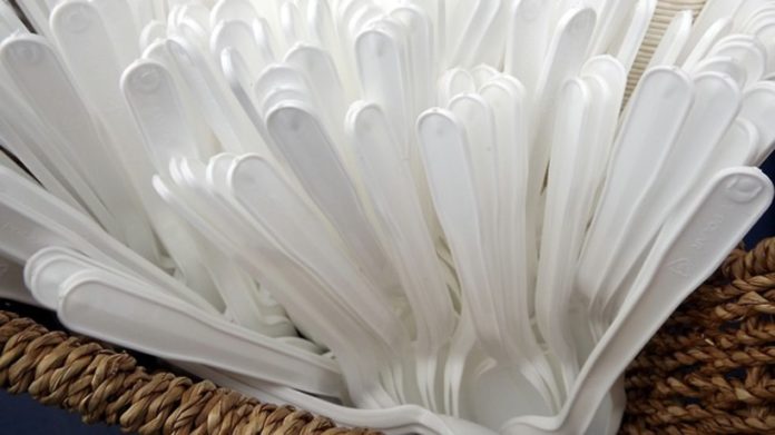 Региональные экологи поддержали инициативу запретить производство неперерабатываемой одноразовой посуды