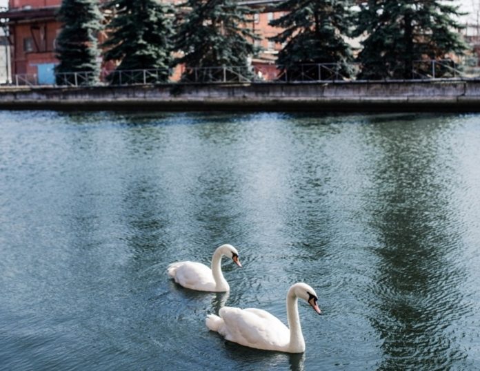 Система экологического менеджмента ПАО «ЗиО-Подольск» признана результативной