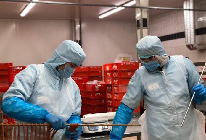 Поддержка предприятий в условиях коронавируса Поддержка предприятий в условиях коронавируса