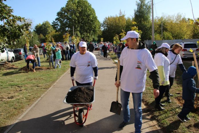 Наш Лес: итоги акции,  прошедшей 21 сентября в Городском округе Подольск Наш Лес: итоги акции,  прошедшей 21 сентября в Городском округе Подольск