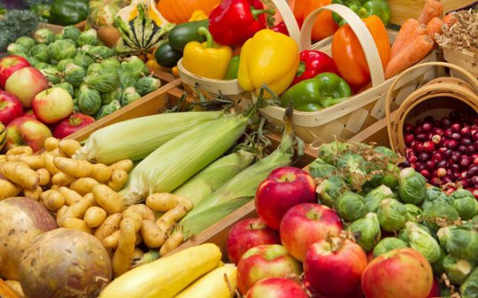 Роспотребнадзор открыл «горячую линию» по качеству и безопасности плодоовощной продукции