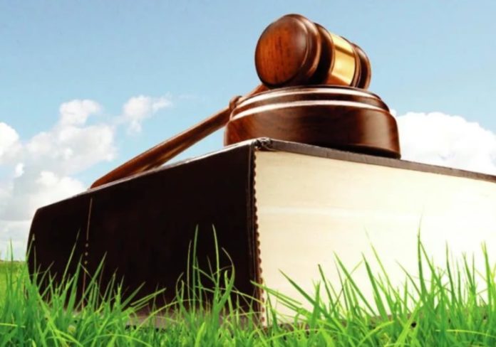 Порядка 4,9 млн рублей в год пополнит бюджет аренда двух земельных участков в Подольске Порядка 4,9 млн рублей в год пополнит бюджет аренда двух земельных участков в Подольске