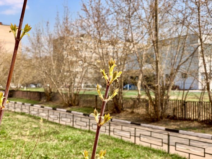 Предстоящая неделя порадует жителей Подмосковья 23‑градусным теплом Предстоящая неделя порадует жителей Подмосковья 23‑градусным теплом