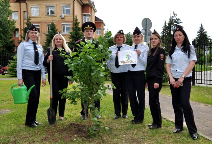 В Подольске полицейские приняли участие в акции «Сад памяти» В Подольске полицейские приняли участие в акции «Сад памяти»